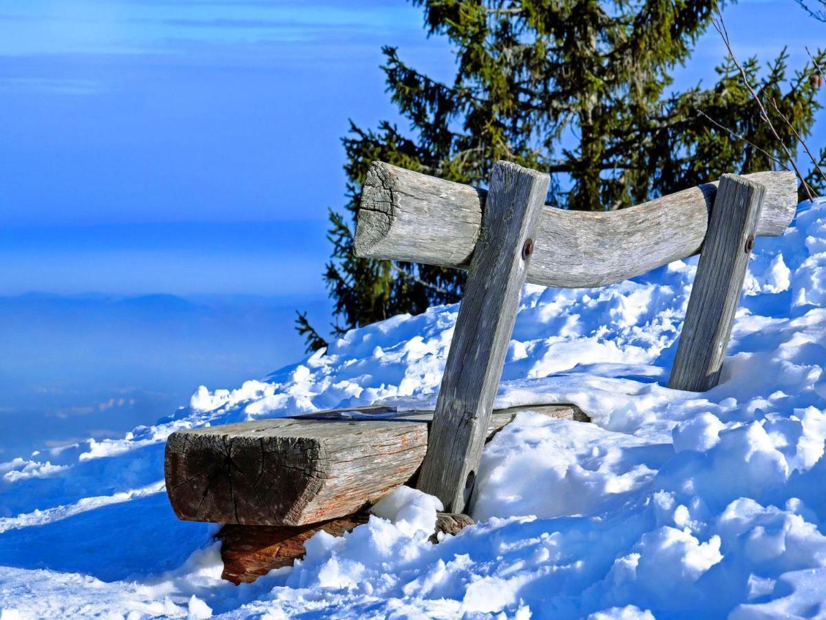 Vesterberg Apartments In Top Lage - Top Lage Schladming Dış mekan fotoğraf