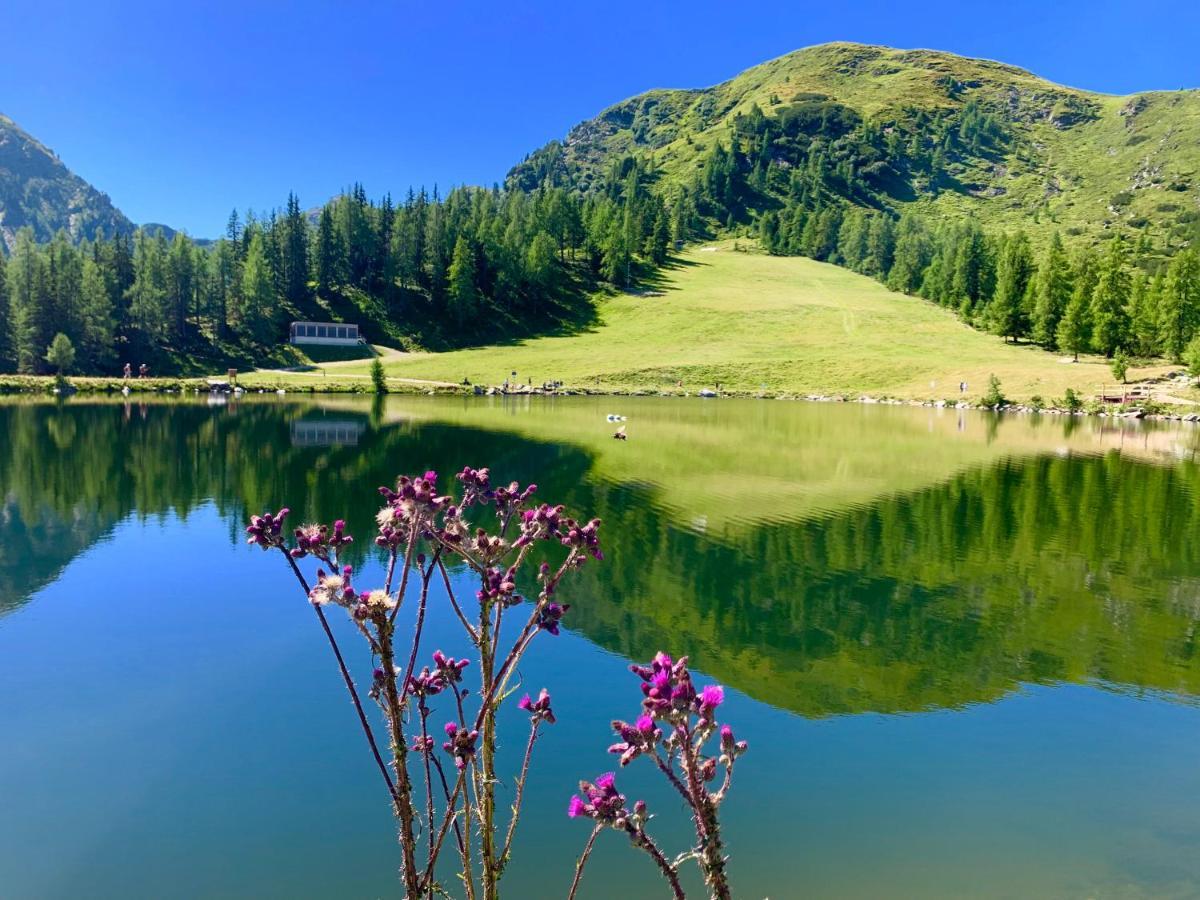 Vesterberg Apartments In Top Lage - Top Lage Schladming Dış mekan fotoğraf